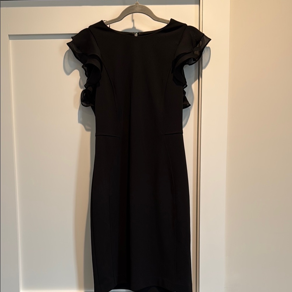 Elegant Black Ruffle Sleeve Dress
